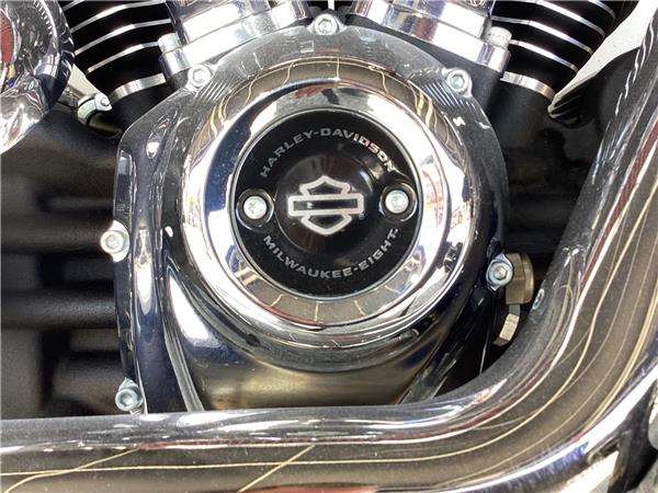 2020 Harley-Davidson Softail