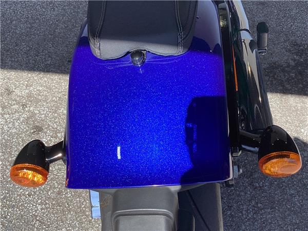 2020 Harley-Davidson Softail