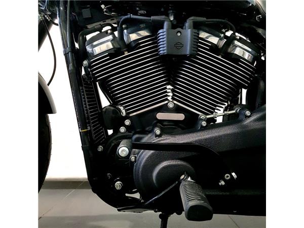 HARLEY-DAVIDSON LOW RIDER S