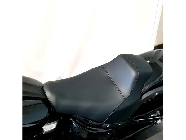 HARLEY-DAVIDSON LOW RIDER S
