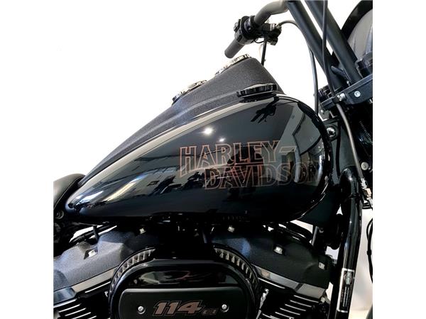 HARLEY-DAVIDSON LOW RIDER S