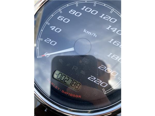 2024 HARLEY-DAVIDSON FREEWHEELER
