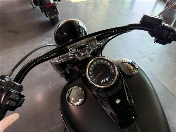2018 HARLEY-DAVIDSON Softail FLSL 1745 Softail Slim 107