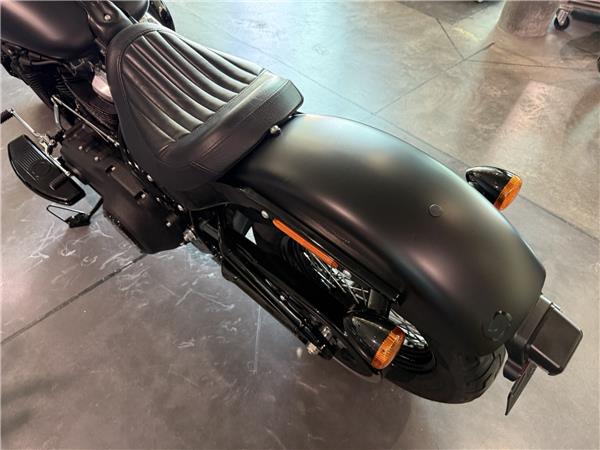 2018 HARLEY-DAVIDSON Softail FLSL 1745 Softail Slim 107