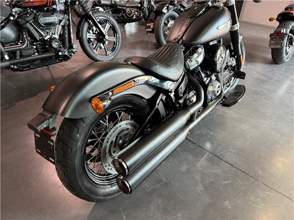 2018 HARLEY-DAVIDSON Softail FLSL 1745 Softail Slim 107