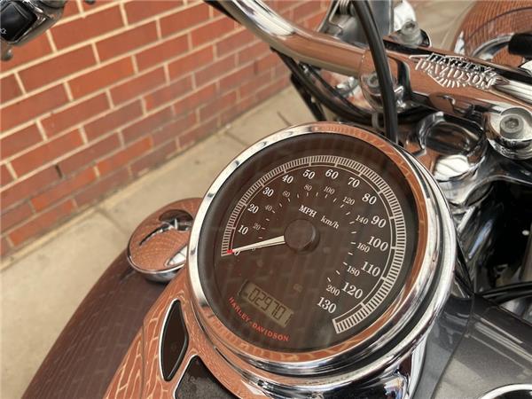 2014 HARLEY-DAVIDSON SOFTAIL FLSTC HERITAGE SOFTAIL CLASSIC