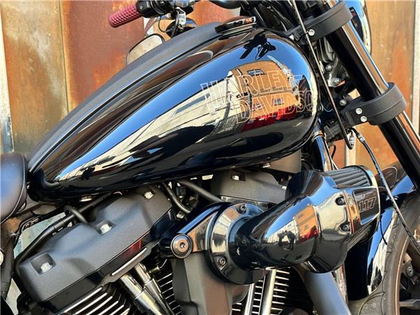 2022 Harley-Davidson Softail