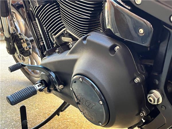 2022 Harley-Davidson Softail