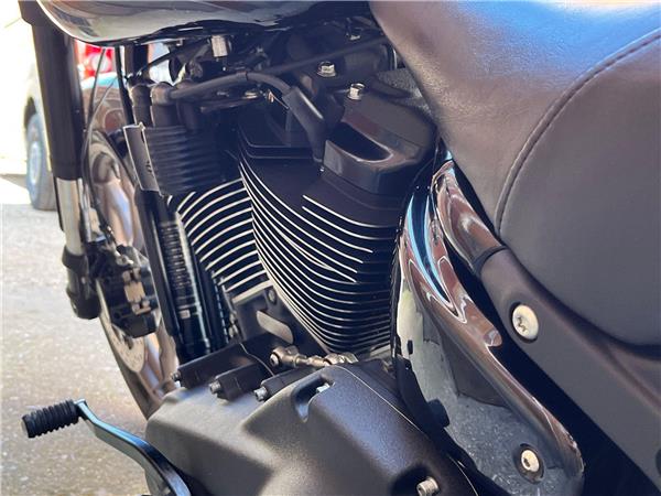 2022 Harley-Davidson Softail