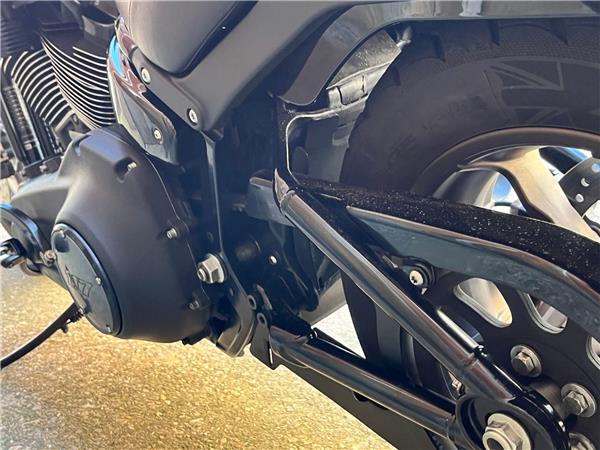 2022 Harley-Davidson Softail