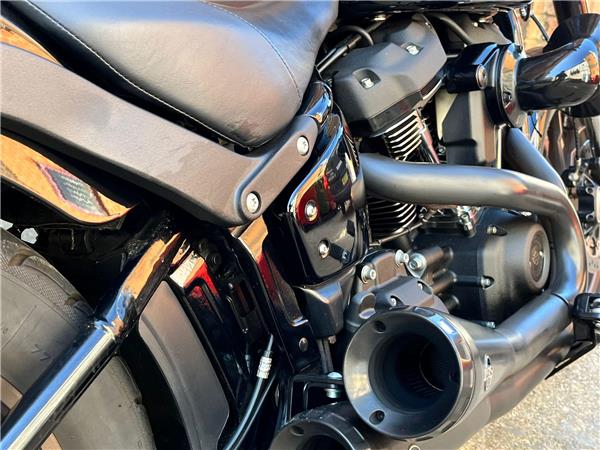 2022 Harley-Davidson Softail