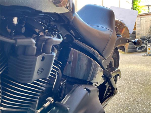 2022 Harley-Davidson Softail