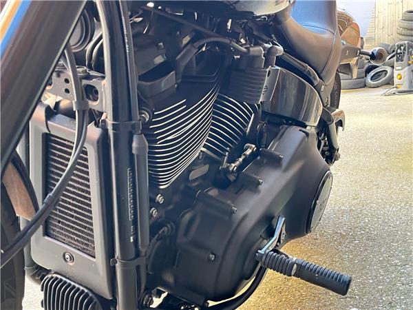 2022 Harley-Davidson Softail