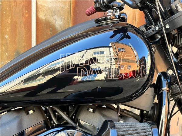 2022 Harley-Davidson Softail