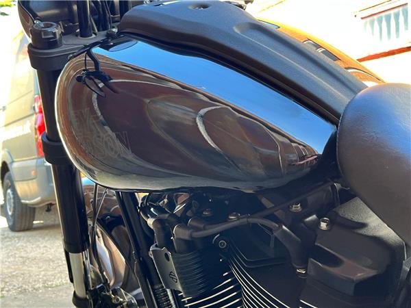 2022 Harley-Davidson Softail