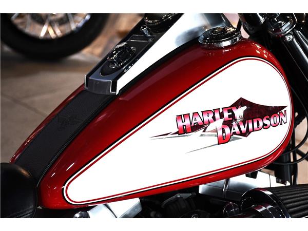 2015 HARLEY-DAVIDSON SOFTAIL FLSTFB FAT BOY SPECIAL