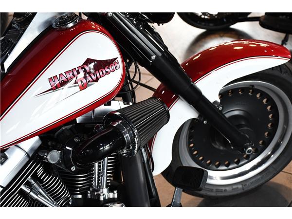 2015 HARLEY-DAVIDSON SOFTAIL FLSTFB FAT BOY SPECIAL