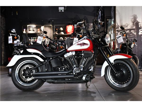 2015 HARLEY-DAVIDSON SOFTAIL FLSTFB FAT BOY SPECIAL