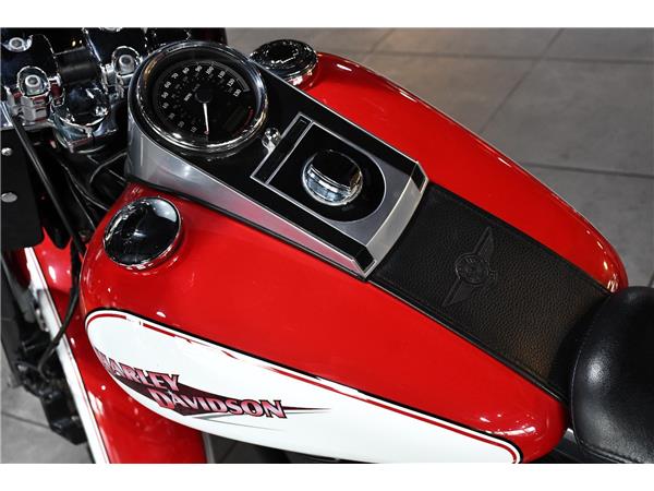 2015 HARLEY-DAVIDSON SOFTAIL FLSTFB FAT BOY SPECIAL