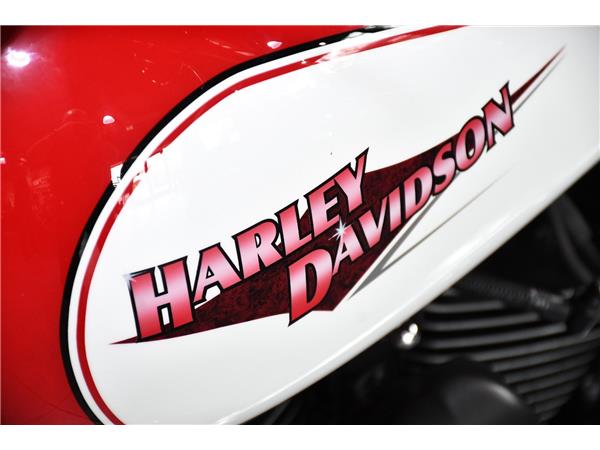 2015 HARLEY-DAVIDSON SOFTAIL FLSTFB FAT BOY SPECIAL