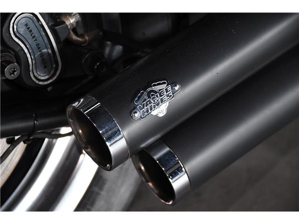 2015 HARLEY-DAVIDSON SOFTAIL FLSTFB FAT BOY SPECIAL