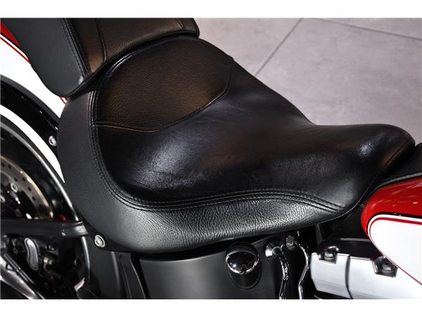 2015 HARLEY-DAVIDSON SOFTAIL FLSTFB FAT BOY SPECIAL
