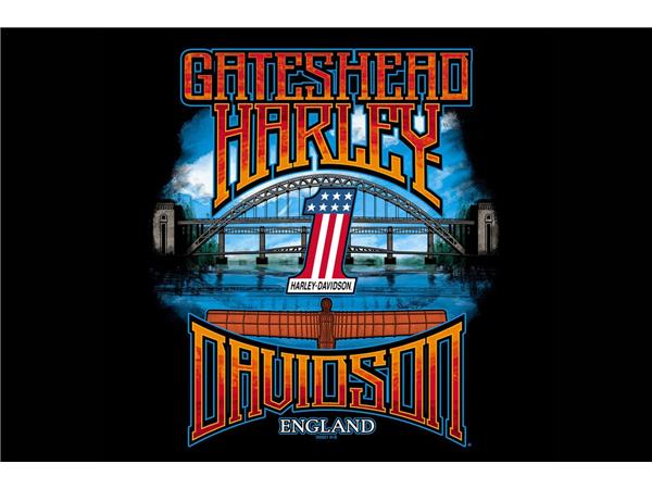 2022 HARLEY-DAVIDSON SOFTAIL FLHCS HERITAGE CLASSIC 114