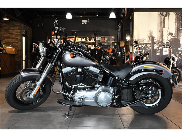 2019 HARLEY-DAVIDSON SOFTAIL FLS SLIM