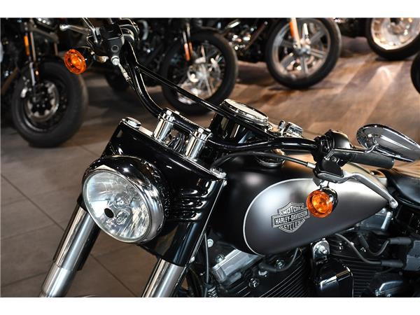 2019 HARLEY-DAVIDSON SOFTAIL FLS SLIM