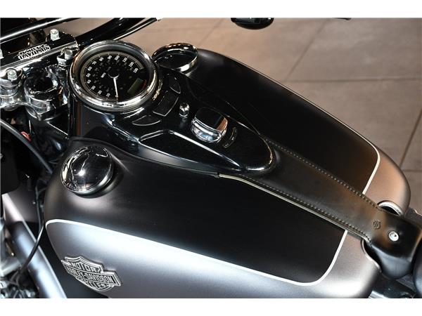 2019 HARLEY-DAVIDSON SOFTAIL FLS SLIM