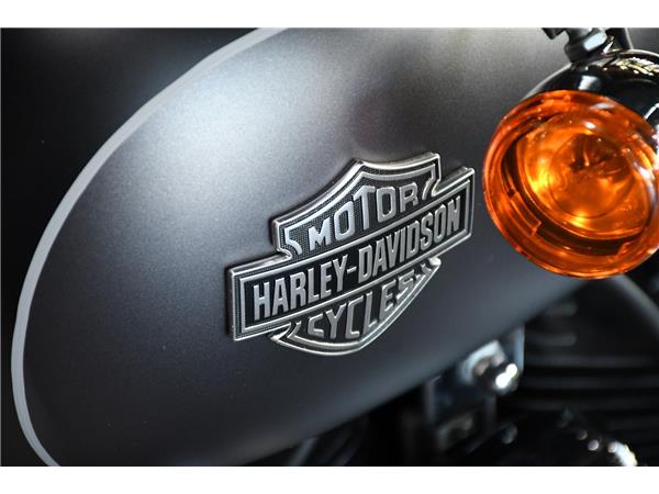 2019 HARLEY-DAVIDSON SOFTAIL FLS SLIM