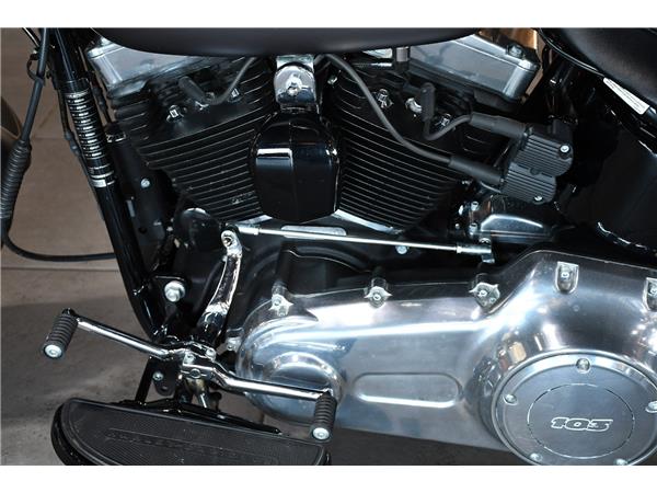 2019 HARLEY-DAVIDSON SOFTAIL FLS SLIM