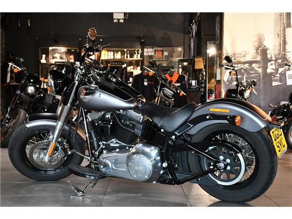 2019 HARLEY-DAVIDSON SOFTAIL FLS SLIM