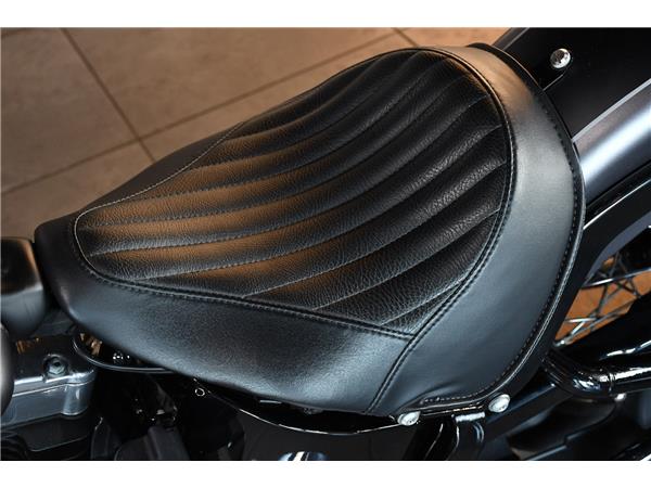2019 HARLEY-DAVIDSON SOFTAIL FLS SLIM