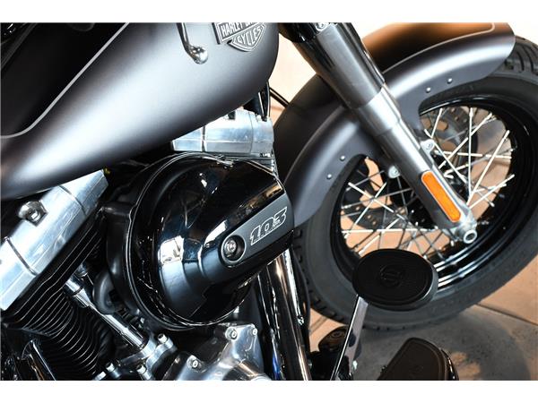 2019 HARLEY-DAVIDSON SOFTAIL FLS SLIM