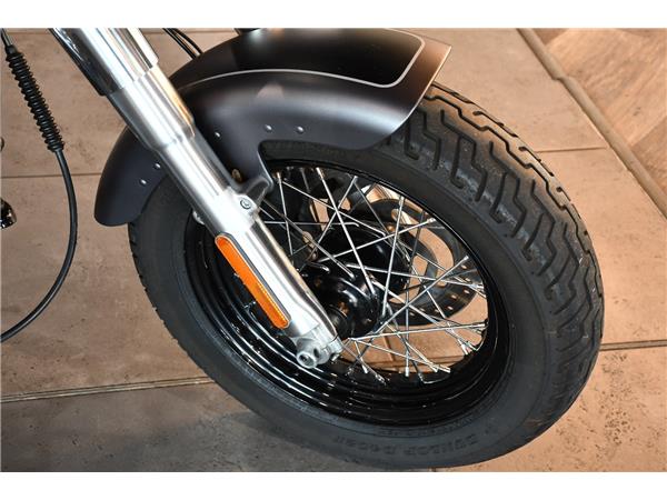 2019 HARLEY-DAVIDSON SOFTAIL FLS SLIM