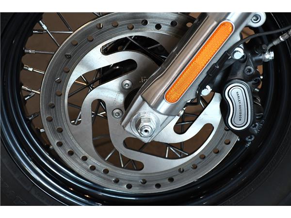 2019 HARLEY-DAVIDSON SOFTAIL FLS SLIM