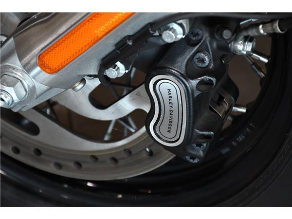 2019 HARLEY-DAVIDSON SOFTAIL FLS SLIM