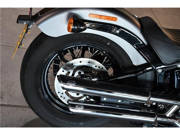 2019 HARLEY-DAVIDSON SOFTAIL FLS SLIM