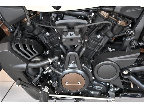 2024 HARLEY-DAVIDSON SPORTSTER S