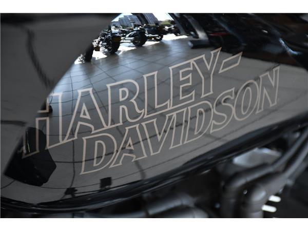 2024 HARLEY-DAVIDSON LOW RIDER ST