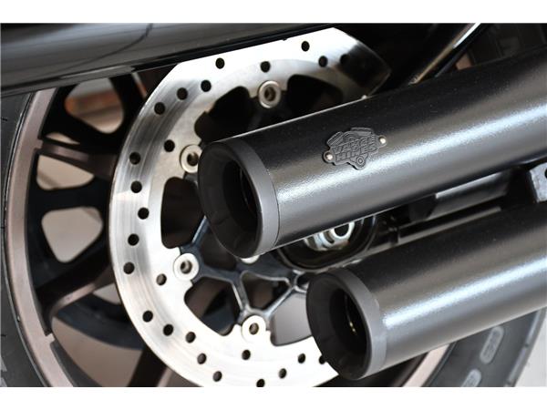 2024 HARLEY-DAVIDSON LOW RIDER ST