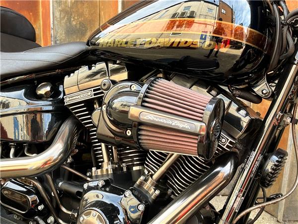 2017 Harley-Davidson CVO