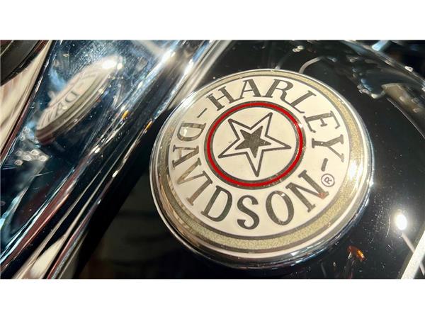 2011 HARLEY-DAVIDSON Dyna FXDWGI Dyna Wide Glide