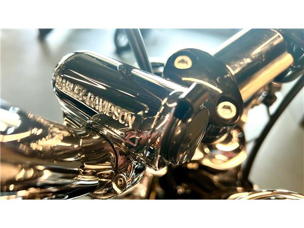 2011 HARLEY-DAVIDSON Dyna FXDWGI Dyna Wide Glide