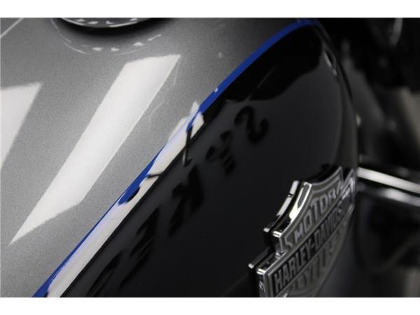 2021 Harley-Davidson Street Glide Special