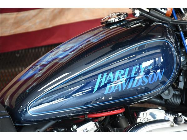 2012 HARLEY-DAVIDSON SPORTSTER XL1200C CUSTOM