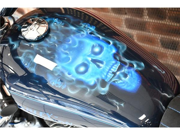 2012 HARLEY-DAVIDSON SPORTSTER XL1200C CUSTOM
