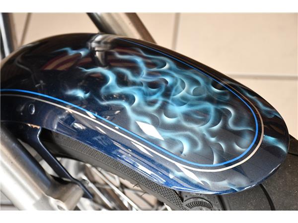 2012 HARLEY-DAVIDSON SPORTSTER XL1200C CUSTOM