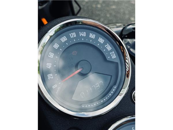 2021 HARLEY-DAVIDSON LOW RIDER